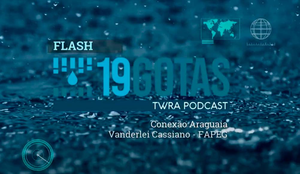 Flash 19 Gotas 00001